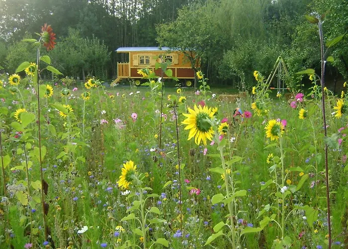 Les Roulottes De Saint-sulpice Saint-Sulpice-en-Pareds